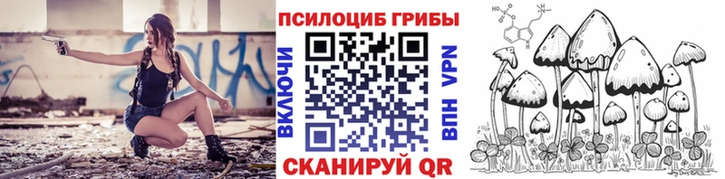 Галлюциногенные грибы Psilocybe  Купить где  Липки 
